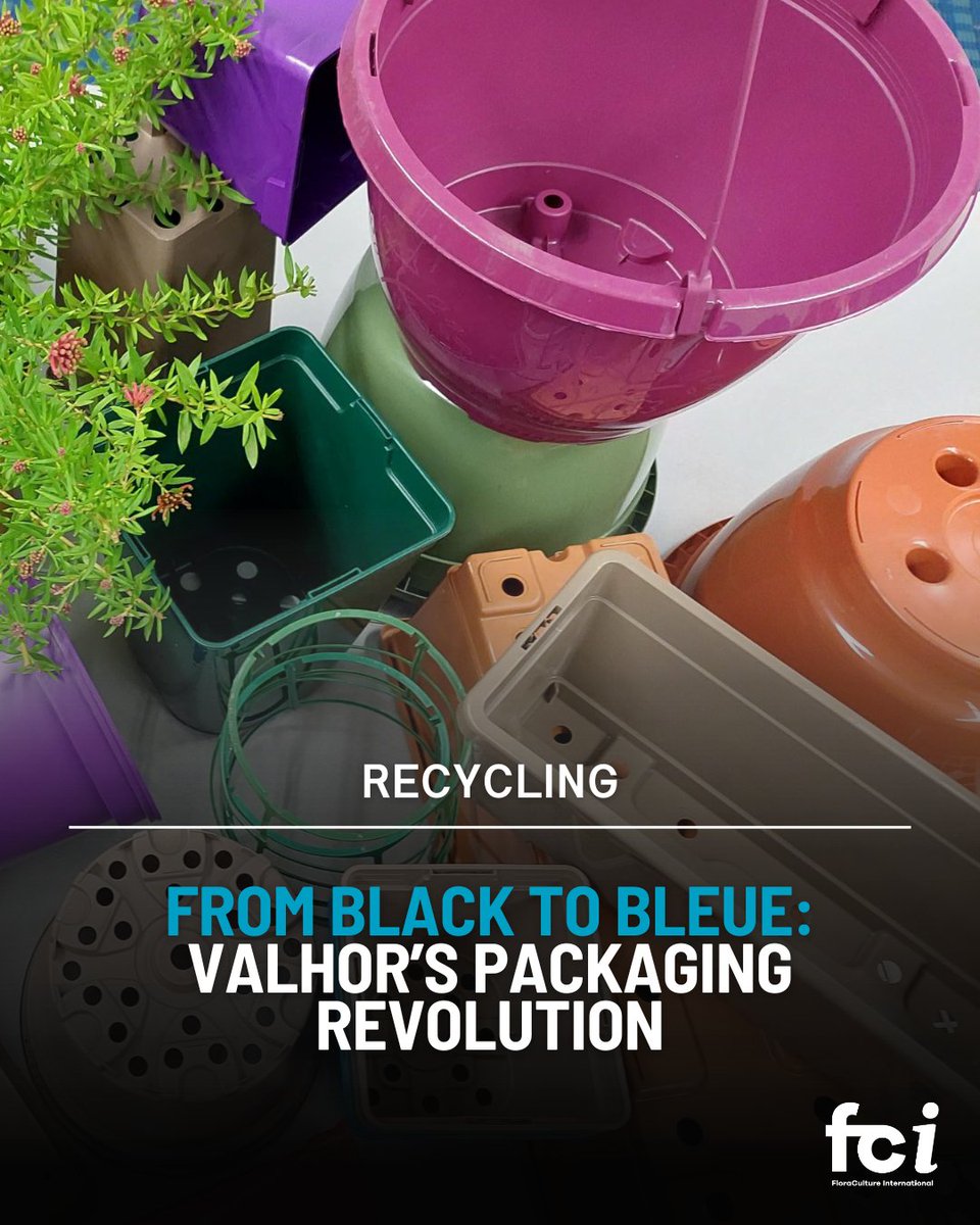 As Europe’s ornamental  horticulture sector adapts to growing environmental pressures, France’s inter-branch association <a href="/val_hor/">VALHOR</a> continues to lead coordinated efforts in sustainability, particularly around packaging and recycling.

Read more on page 24: aiph.org/floraculture/l…