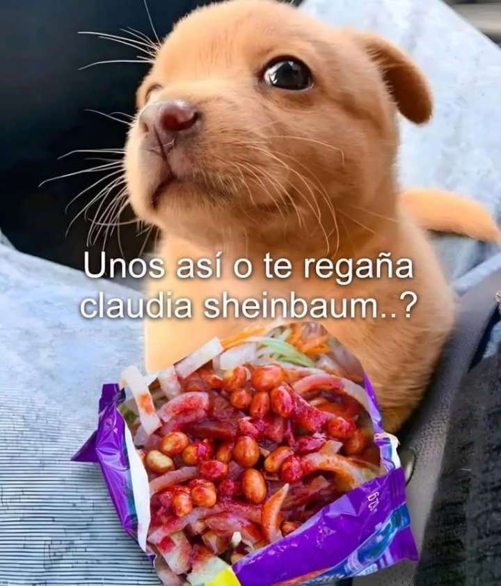 Maestre Mapaxito (@mapaxitouwu) on Twitter photo 