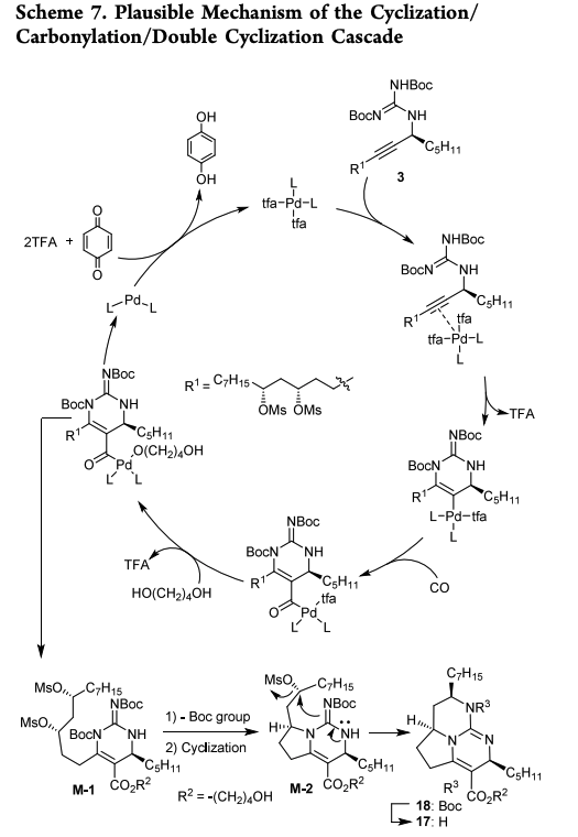 Total Synthesis (@totalsynthesis) on Twitter photo #Synthesis of (+)- and (−)-Batzelladine C Based on a Cyclization/Carbonylation/Double Cyclization Cascade: Revision of the Absolute Configuration by Tianci Yue, Taichi Kusakabe, Kyoka Someya, Takuya Tsukamoto, Keisuke Takahashi, and Keisuke Kato in <a href="/JOC_OL/">J Org Chem/Org Lett</a> #Synthesis of (+)- and (−)-Batzelladine C Based on a Cyclization/Carbonylation/Double Cyclization Cascade: Revision of the Absolute Configuration by Tianci Yue, Taichi Kusakabe, Kyoka Someya, Takuya Tsukamoto, Keisuke Takahashi, and Keisuke Kato in <a href="/JOC_OL/">J Org Chem/Org Lett</a>