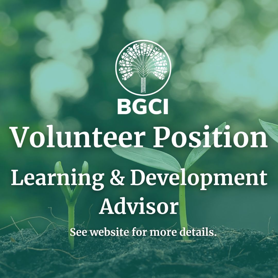 Are you looking for an exciting opportunity to get involved as a BGCI Volunteer? We are seeking help to develop learning opportunities for all staff.
Learn more: buff.ly/Nl5RUxq 
#ConservationVolunteering #VolunteeringOpportunities #CharityVolunteering #PlantConservation