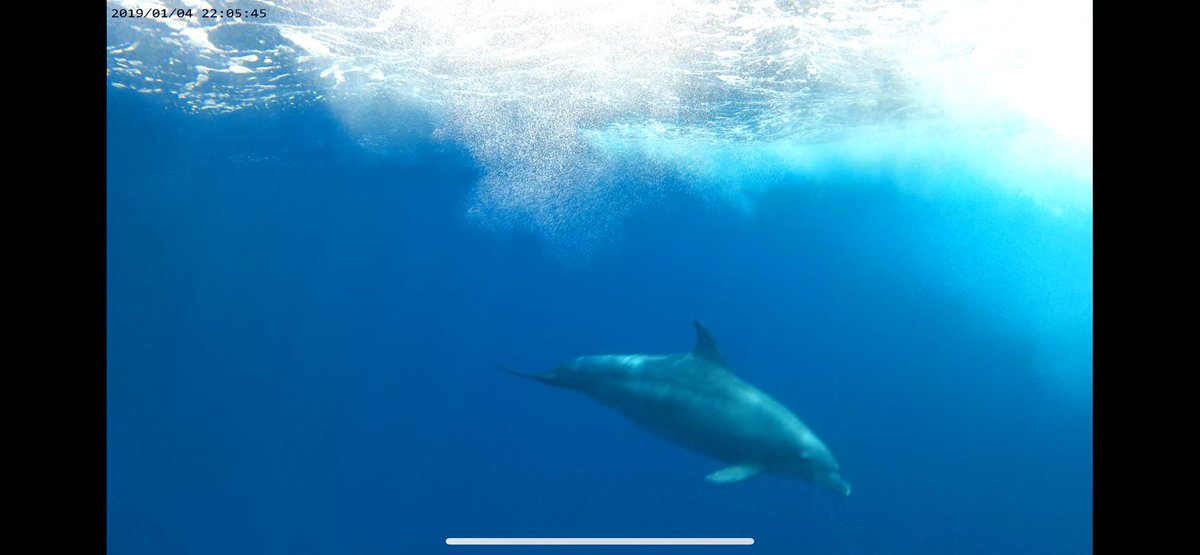 Robert Sloan tweet media