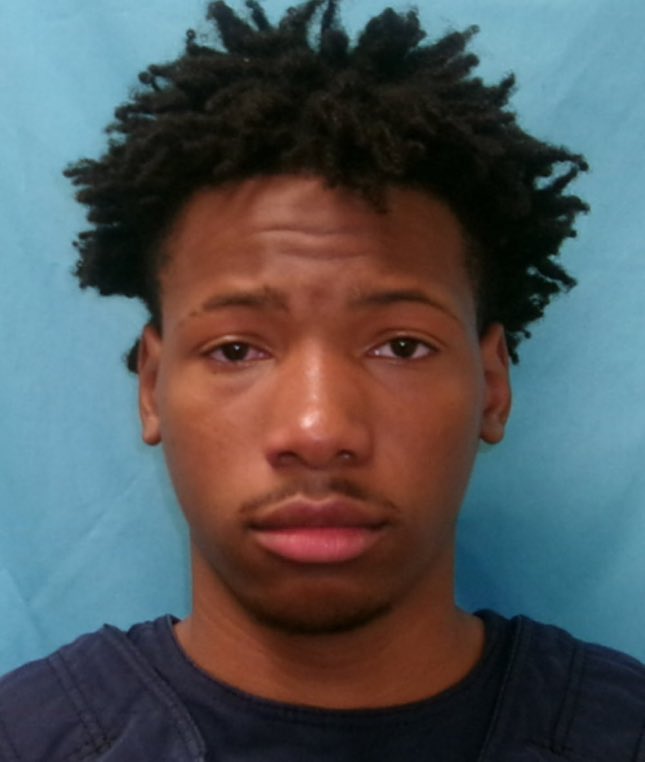 Nick Sortor tweet media