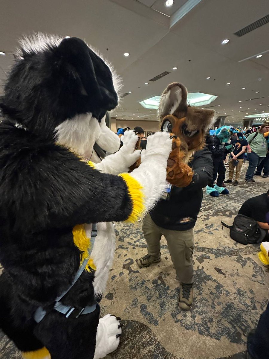 Had some fun out at Texas Furry Fiesta this past weekend and enjoying the time with other Furst Responders. It's hot AF south of the 45th parallel. Looking forward to FWA in a month.

We did have fun doing paw only cpr on <a href="/KaladinAzer/">Kaladin Azer</a> with our "supervisors"  watching us.