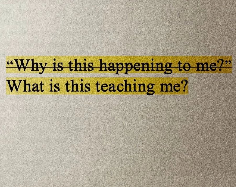 Erica Magnant tweet media