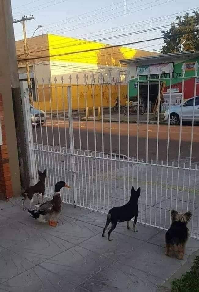 Uno con contactos, entra a trabajar a donde sea.