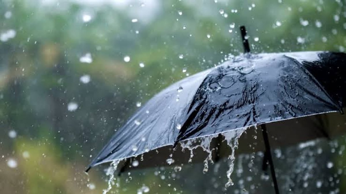 kto_tal's tweet photo. Vishu Rains https://t.co/ExbbXrBylz