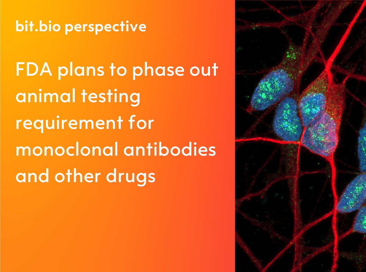 bit.bio (@bitbio) on Twitter photo A significant shift in drug development is underway. Read our perspective > hubs.ly/Q03hcW9H0
#DrugDiscovery #FDA #iPSC #ioCells #optiox A significant shift in drug development is underway. Read our perspective > hubs.ly/Q03hcW9H0
#DrugDiscovery #FDA #iPSC #ioCells #optiox