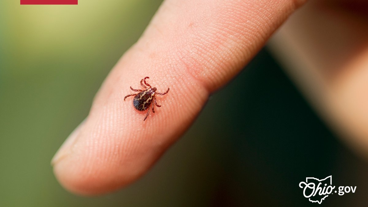 Ohio.gov (@ohgov) on Twitter photo A bite from a tiny tick can lead to big health problems. The <a href="/OHdeptofhealth/">Ohio Dept of Health</a> has tips to help you prevent tick bites and know what to do if you or someone you love gets bitten: odh.ohio.gov/tick A bite from a tiny tick can lead to big health problems. The <a href="/OHdeptofhealth/">Ohio Dept of Health</a> has tips to help you prevent tick bites and know what to do if you or someone you love gets bitten: odh.ohio.gov/tick