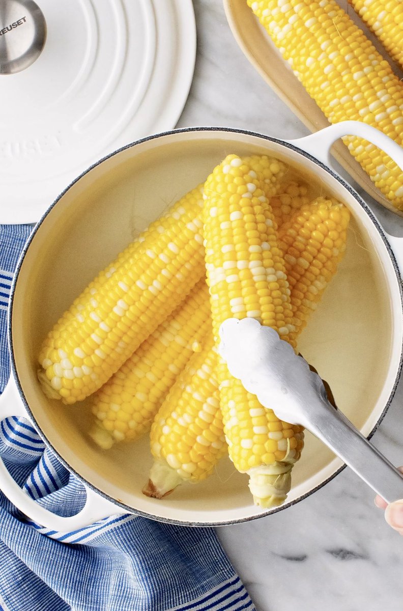 the cabinet of echoes tweet media