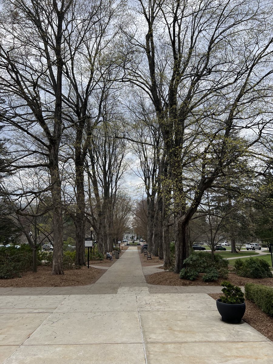 Mike Santella tweet media