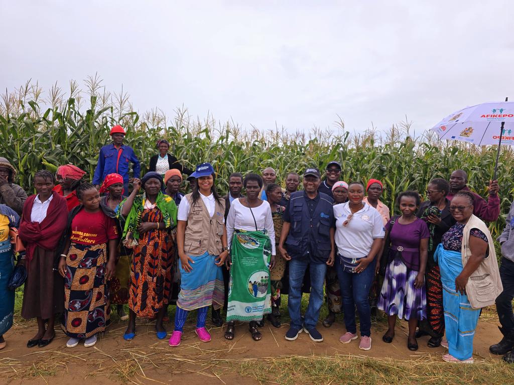 FAOMalawi's tweet photo. Seeing is believing 

@BabaganaAhmadu, @FAOMW Representative a.i, appreciating the benefits of low-cost sustainable land management technologies such as use of organic manure in combination with inorganic fertilizer, which farmers in Mzimba adopted under @FAO's #SLM project https://t.co/6Oez328QRN