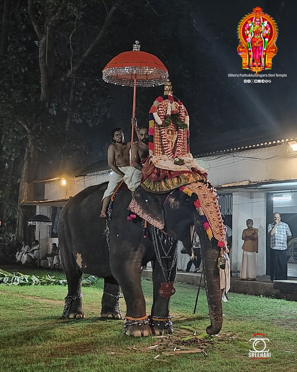 DeviOthera's tweet photo. ഓതറ പുതുക്കുളങ്ങര ദേവി ക്ഷേത്രത്തിൽ മേട സംക്രമ ആട്ടവിശേഷങ്ങളുടെ ഭാഗമായി നടന്ന സംക്രമ എഴുന്നള്ളത്തിന് ഗജറാണി പുതുക്കുളങ്ങര ഭഗവതിപ്രിയ ശ്രീപാർവ്വതി ദേവിയുടെ തിടമ്പെഴുന്നള്ളിച്ചു.

@puthukkulangara_devitemple
#ഓതറ_പുതുക്കുളങ്ങര_ദേവീക്ഷേത്രം🕉️

പുതുക്കുളങ്ങര അമ്മേ പ്രസീദ പ്രസീദ🙏🏻 https://t.co/K11daLVCSC
