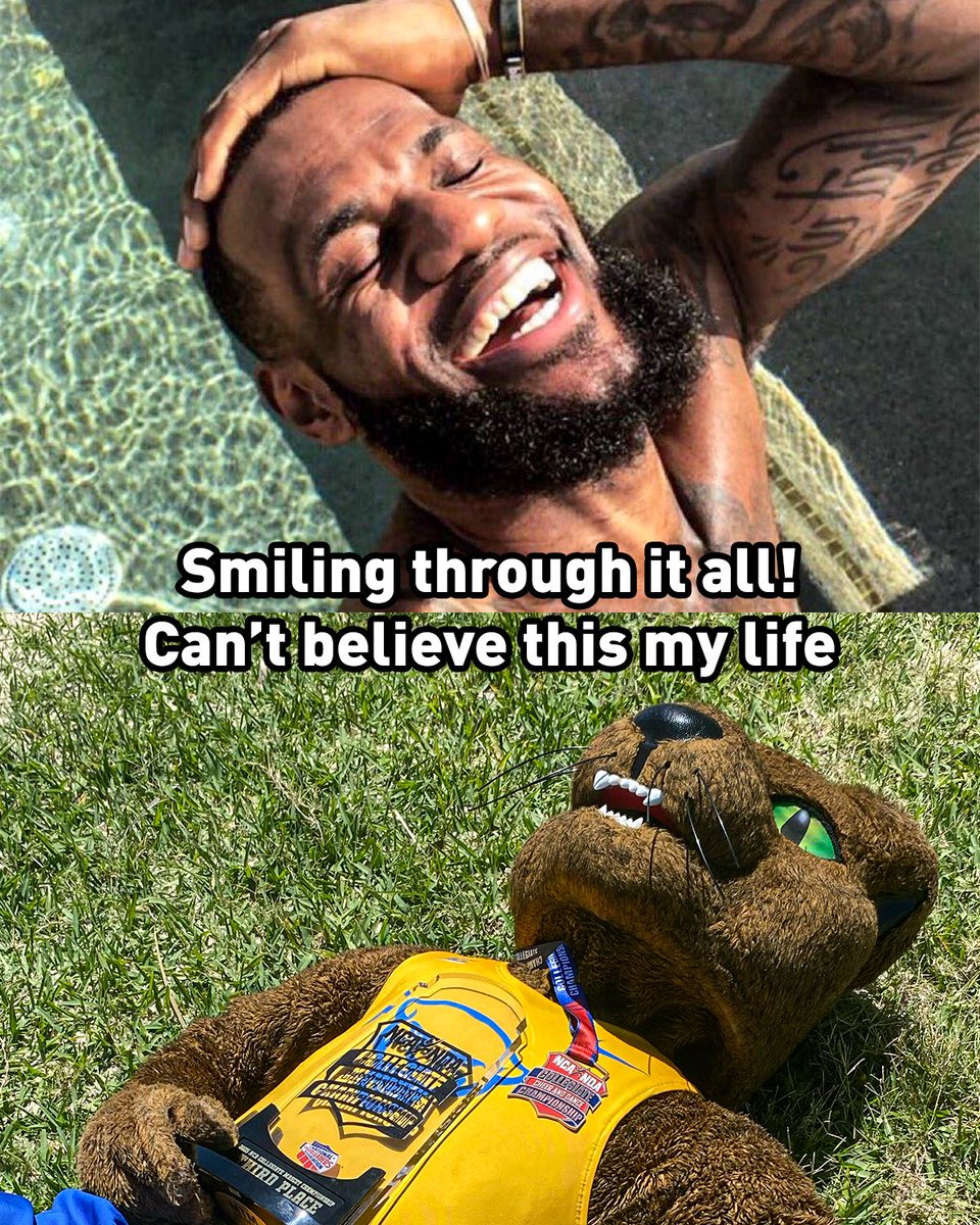 can’t believe this my life 😹