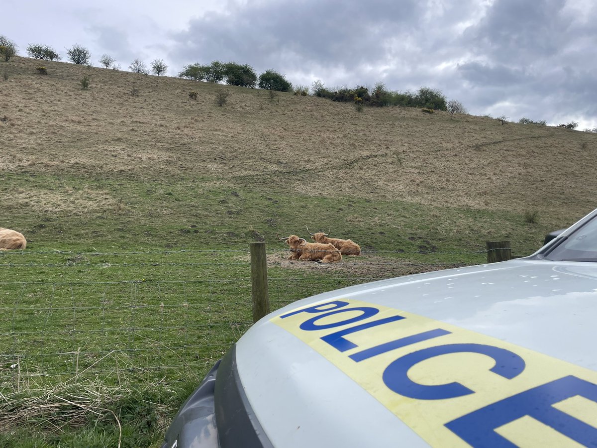 Humberside Police - Rural Task Force (@humberbeat_rtf) on Twitter photo Officers from the #RuralTaskForce are patrolling our areas beauty hot spots over the Easter Holidays as part of #OpCoastline. They are there to disrupt criminals and to keep you safe over the holiday period.
<a href="/Humberbeat/">Humberside Police</a> <a href="/HumbersidePCC/">Humberside PCC</a> Officers from the #RuralTaskForce are patrolling our areas beauty hot spots over the Easter Holidays as part of #OpCoastline. They are there to disrupt criminals and to keep you safe over the holiday period.
<a href="/Humberbeat/">Humberside Police</a> <a href="/HumbersidePCC/">Humberside PCC</a>