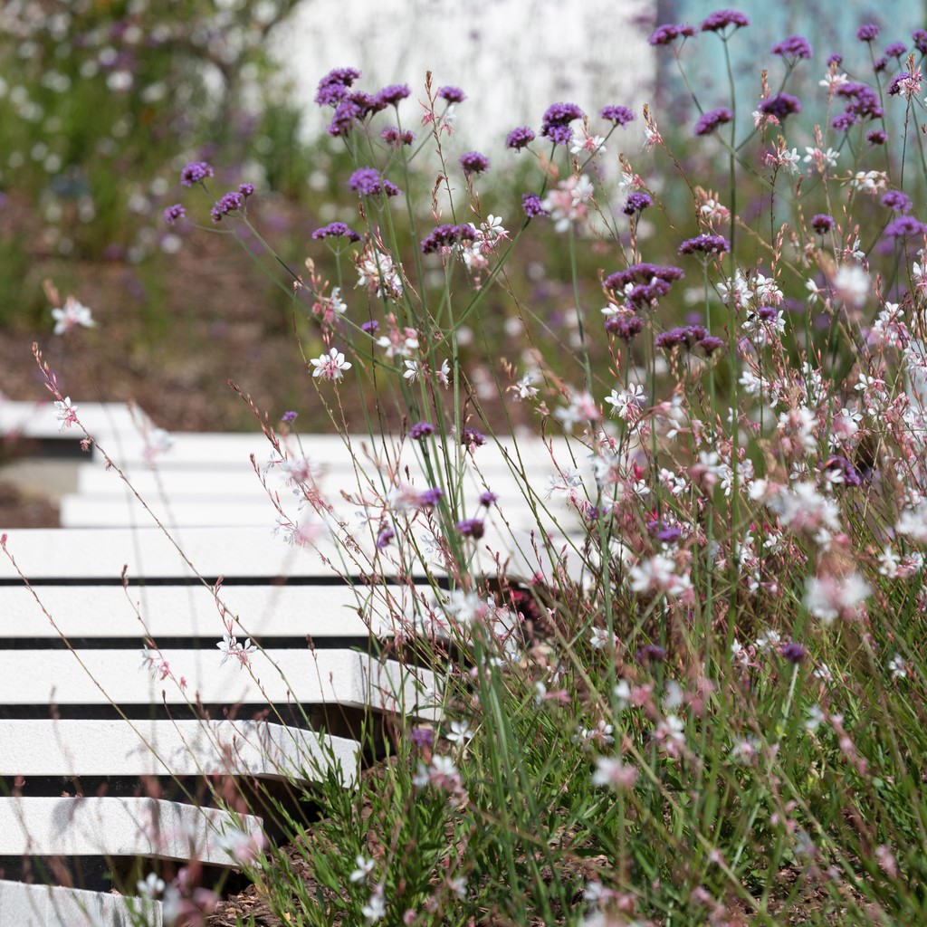 Modern living meets calming nature at our Clubhouse Residences apartments. 🍃⁠
⁠
Your perfect retreat after a day on our award-winning course. 🌷⁠