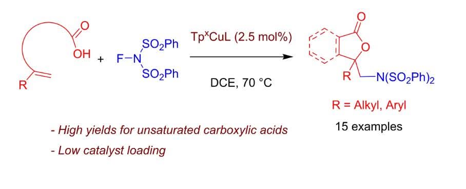 Article from Homogeneous Catalysis Lab (PI Prof. Pedro J. Pérez <a href="/PedroJPerez65/">Pedro J. Perez</a>)

Efficient Synthesis of Amino Lactones via Copper-catalysed Alkene Aminooxygenation

<a href="/AdvSynthCatal/">Adv. Synth. & Catal.</a>

advanced.onlinelibrary.wiley.com/doi/epdf/10.10…