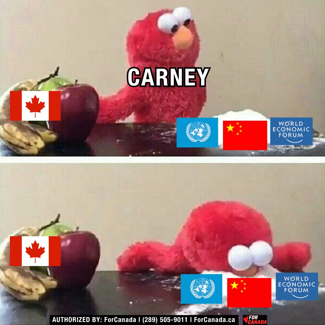 KatKanada_TM's tweet image. I do NOT trust the man who considers himself a "European," evades taxes via tax havens in Bermuda, contributes psychotic Net Zero ideas to the WEF, gets loans from China, etc ...

... to put Canada first. 

Mark Carney is a dangerous globalist.