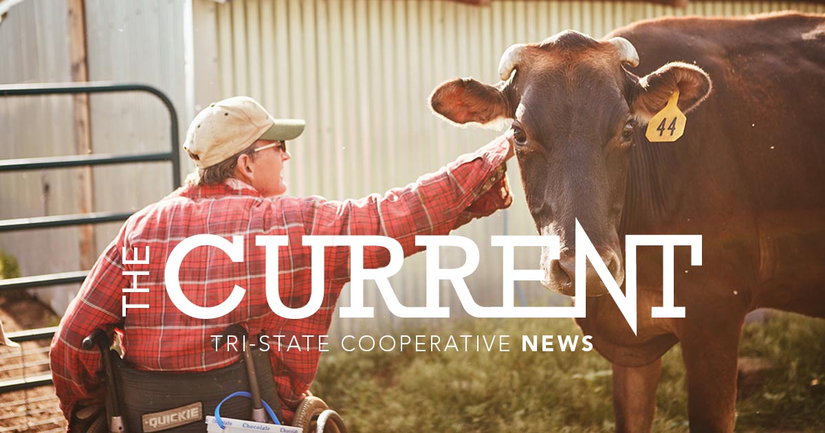 Catch up on all things Tri-State with our April newsletter ⚡️ The Current 
 
 📰 Read more: us12.campaign-archive.com/?u=7f1b7de945a…

#Cooperative #BetterTogether #TriStateCoop
