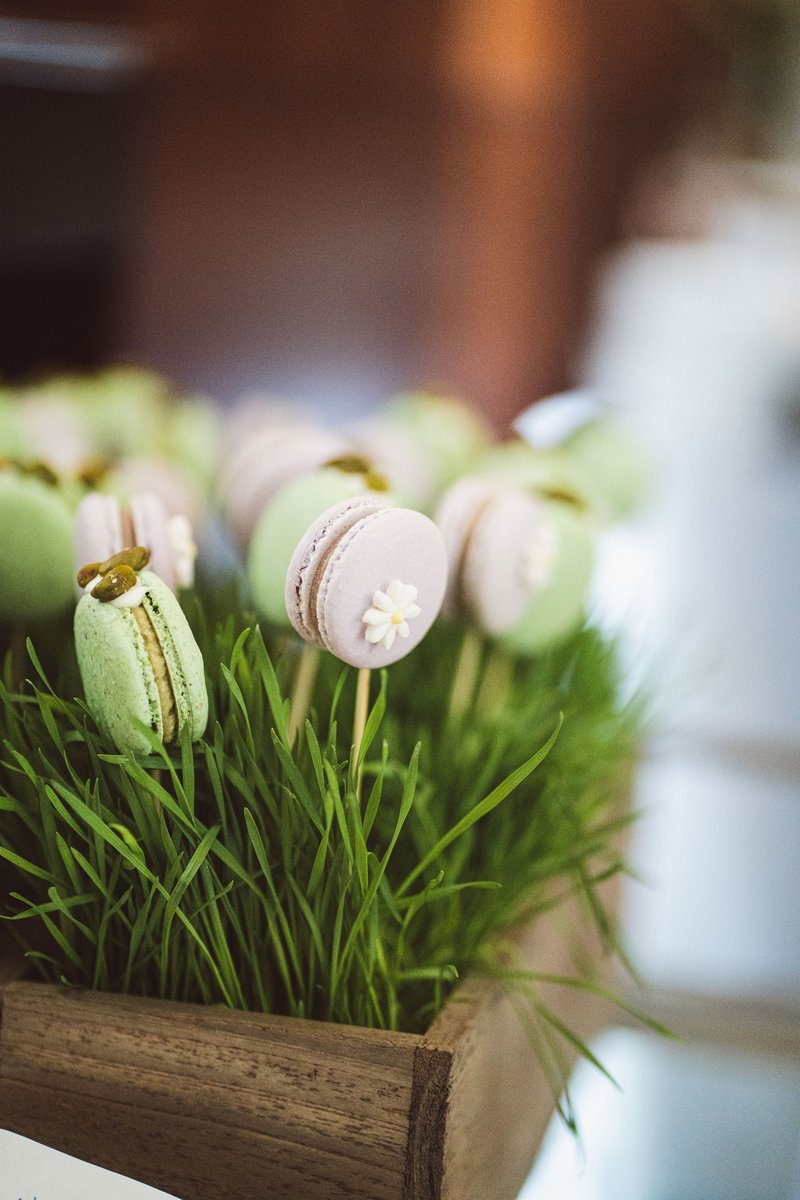 Celebrate Easter with a brunch to remember at Bistro 888! Savor a spread of seasonal delights, brunch favorites, sweet indulgences, and more. 

Reserve your table today: bit.ly/3SlYWYV