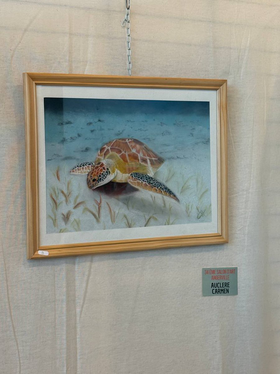 NathCarvalho91's tweet photo. Pour la clôture du 34ème Salon d’Art d’#Angerville, où exposaient une centaine d’artistes, tous aussi brillants les uns que les autres, j’ai remis la médaille d’or de l’#assembleenationale à Carmen Auclere pour sa magnifique tortue aux pastels. https://t.co/PPjIlb0HtL