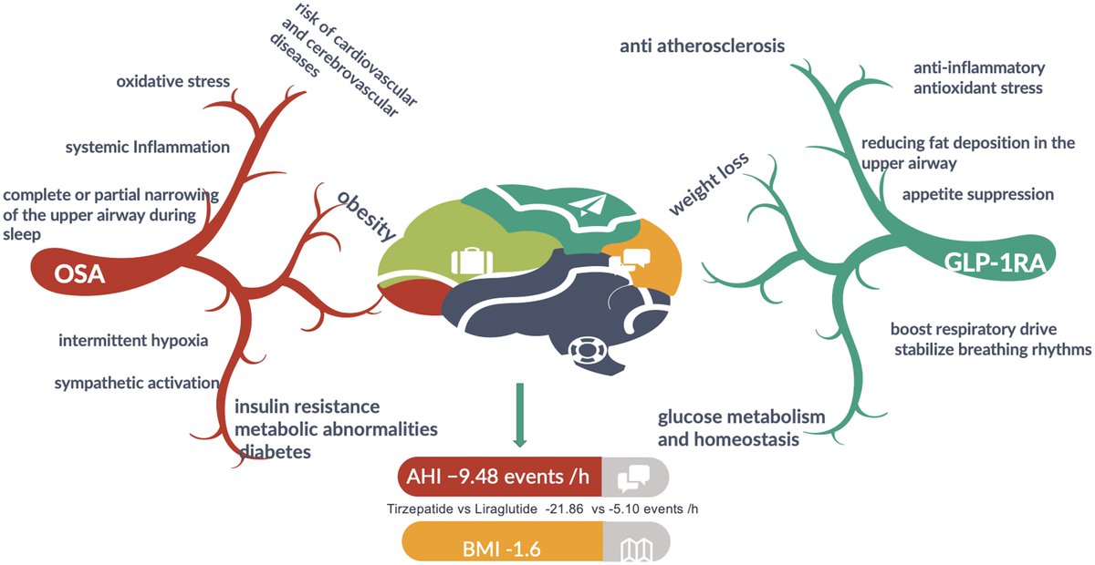 Sleep Research Society (@researchsleep) on Twitter photo New in SLEEP: GLP-1 receptor agonists may significantly reduce OSA severity—even without CPAP. ow.ly/9hLT50VAbWE #sleepapnea #GLP1 <a href="/sleepjournals/">SLEEP and SLEEP Advances</a> New in SLEEP: GLP-1 receptor agonists may significantly reduce OSA severity—even without CPAP. ow.ly/9hLT50VAbWE #sleepapnea #GLP1 <a href="/sleepjournals/">SLEEP and SLEEP Advances</a>