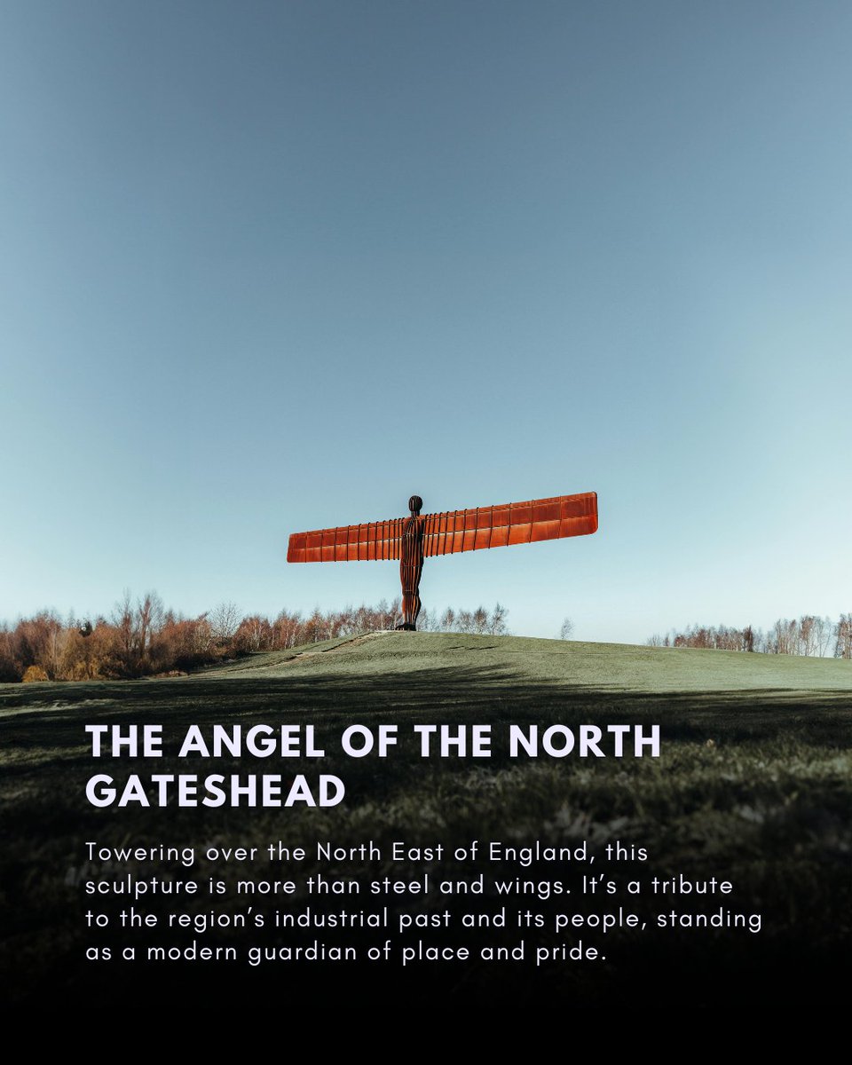 Concept Culture tweet media