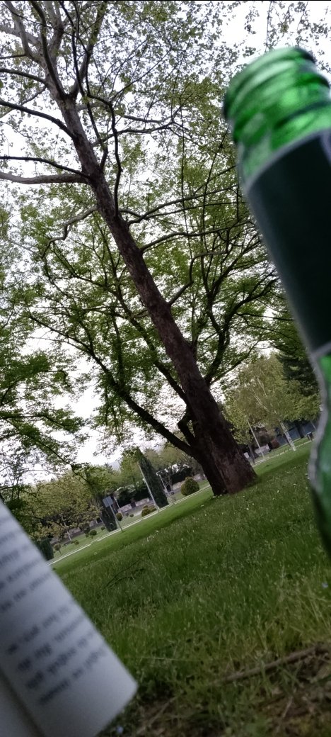 Türkiye Cumhuriyeti
Nerede o eski bayramlar belediyesi
Orta segment çimenler ve yabani otlar müdürlüğü 
Zorlama tweet'ler şubesi başkanlığına;
 open.spotify.com/track/4R5GN0mB…