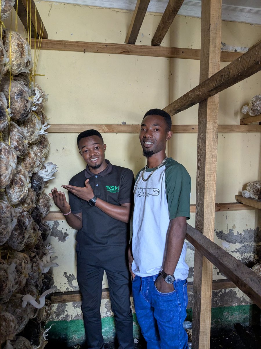 EdwardJ53594600's tweet photo. Vijana wanapofanya uwekezaji katika sekta ya kilimo, wanachangia kufungua fursa za ajira kwa wenzao.

Swali kwako kijana mwenzangu:
Wewe umeanzisha ubunifu gani katika sekta ya kilimo au maeneo mengine ya maendeleo?
#ksm https://t.co/tAVpG4KVRs