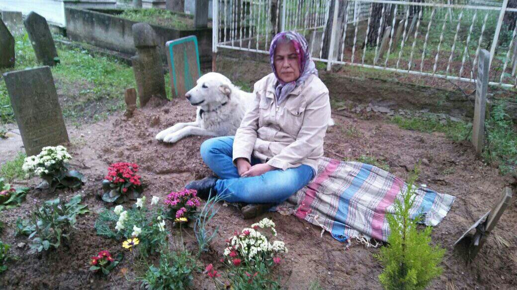 hayatta kızlarından değerli varlığı olmayan annelere bunları yaşatmaya hakkınız yok, bu düzen değişmek ZORUNDA 
#DoganCanYıldızTutuklansın
#YesimAkbasİcinAdalet