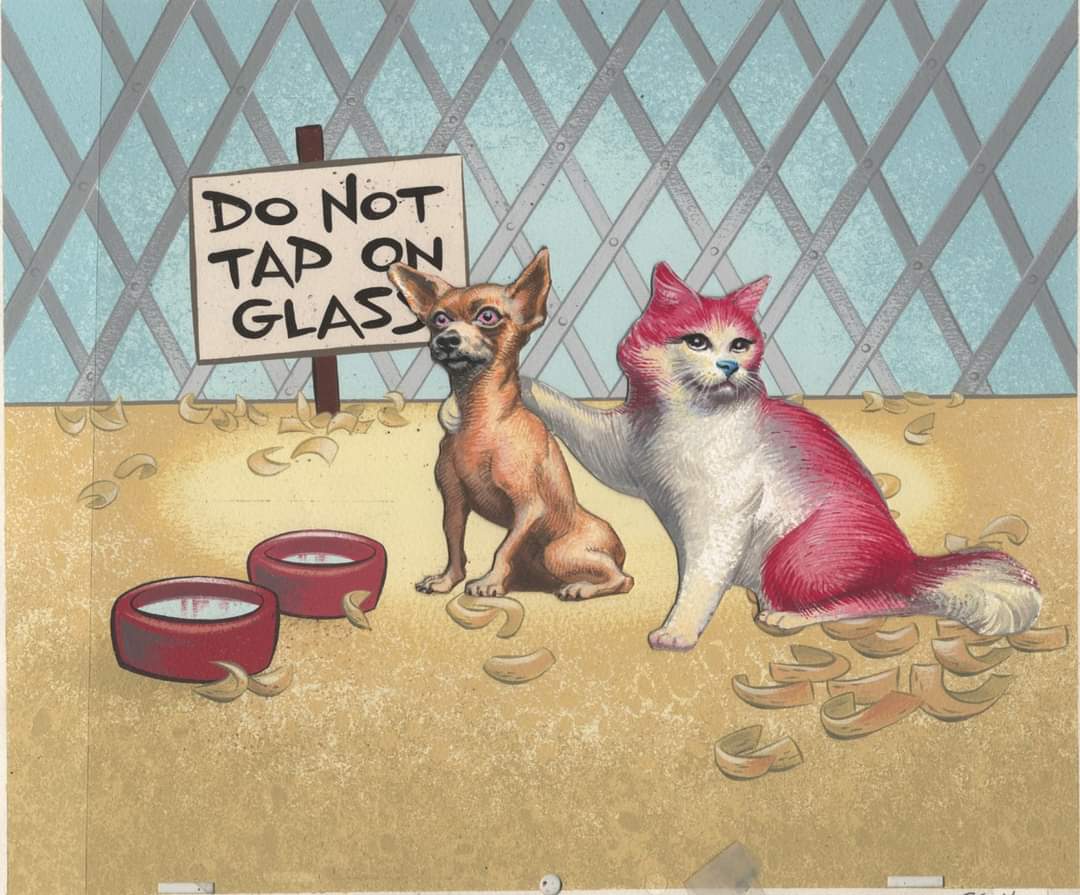 EditsNacos's tweet image. #RenyStimpy
#RenandStimpy