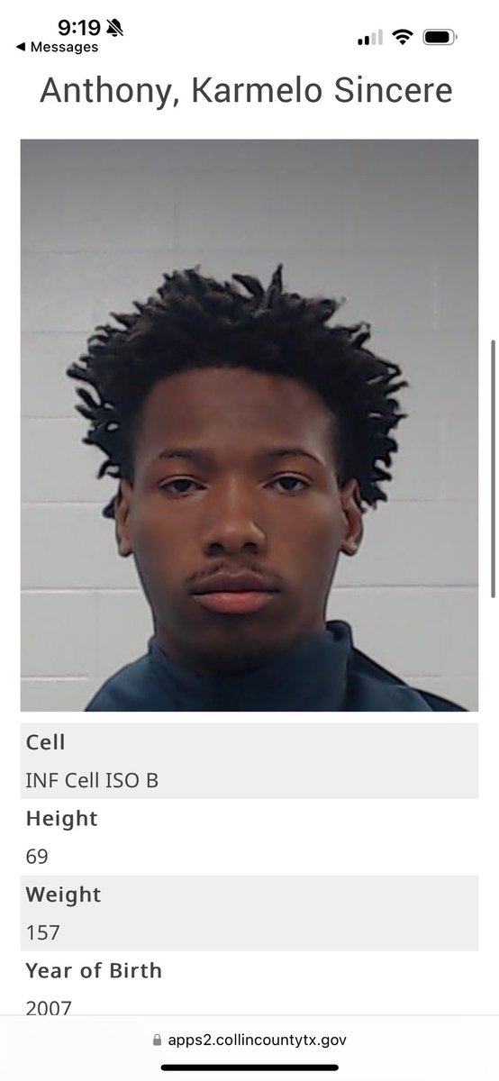 Lou facts tweet media