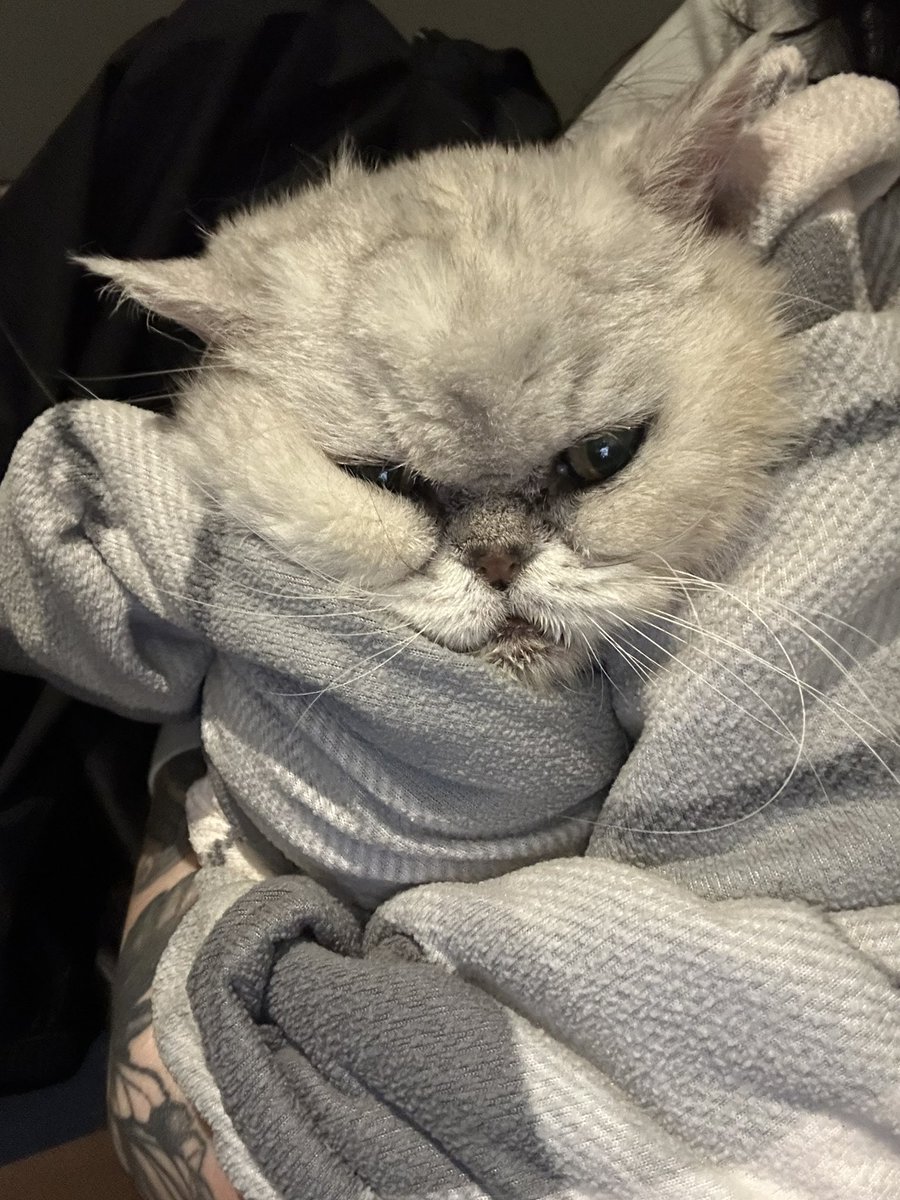 StefanieGD⚔️ tweet media