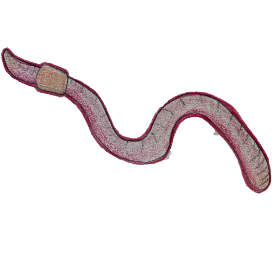 nepenthesVT's tweet photo. The home of the #worm emote
https://t.co/aJRbiiUOpx
#VTheorem #VTuberAssets #VTubers https://t.co/6Nr24RMxd4