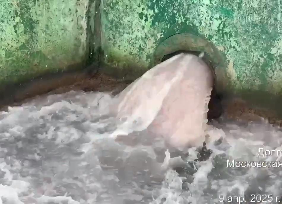 ecmo_ru's tweet image. Вонючая находка 🤧

Встречайте еще один эпический сброс... Жители Долгопрудного обнаружили источник нестерпимого зловония - извергающиеся в Клязьму очистные мкрн Хлебниково: ecmo.ru/news/klyazmins…

✅Наш канал t.me/ecmoru

#подмосковье #жкх #долгопрудный #хлебниково