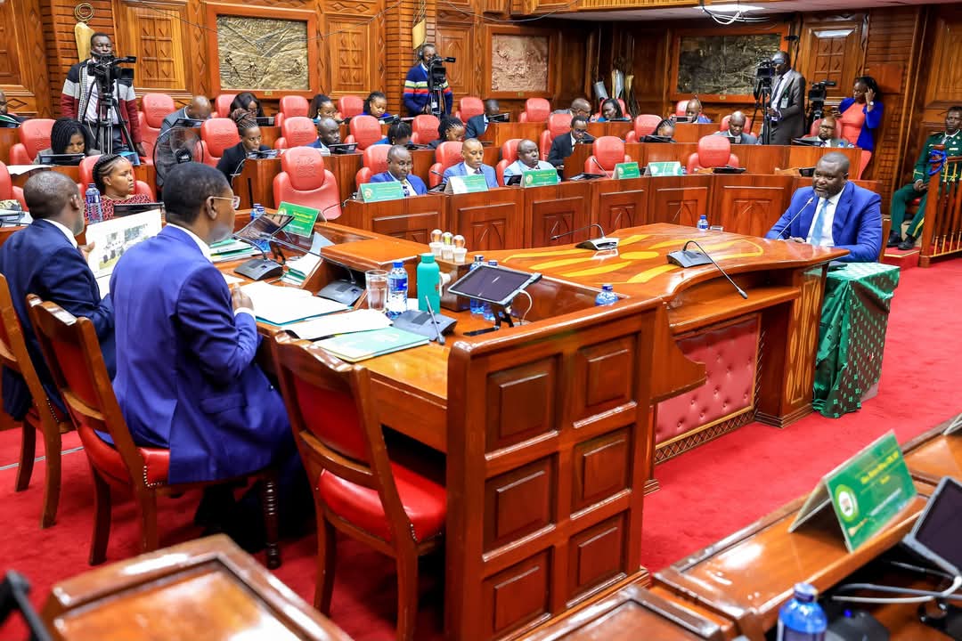 The approval hearings for Public Service Cabinet Secretary Nominee, Hon. Geoffrey Ruku and Ms. Hannah Wendot Cheptumo, CS Nominee for Gender. The vetting focused on assessing their qualifications, experience, and vision for service delivery to the public.