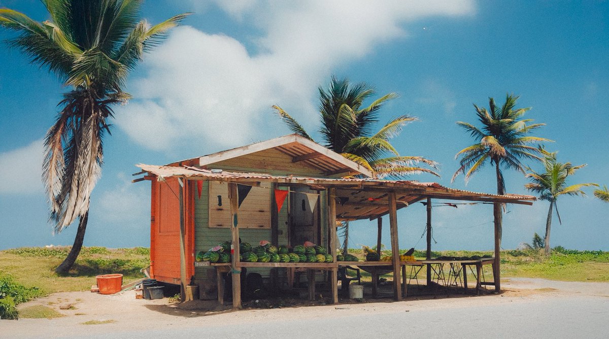 jellzman's tweet image. fruit vendors on the manzan stretch

quintessential caribbean aesthetics  📸