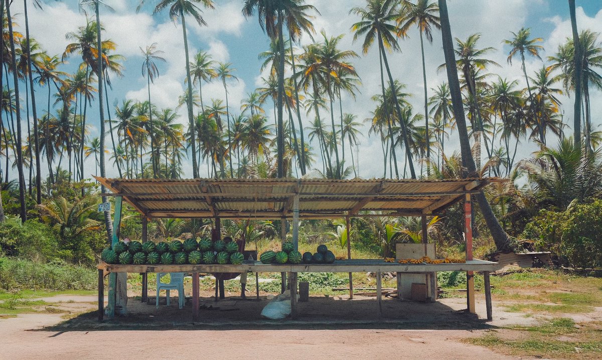 jellzman's tweet image. fruit vendors on the manzan stretch

quintessential caribbean aesthetics  📸