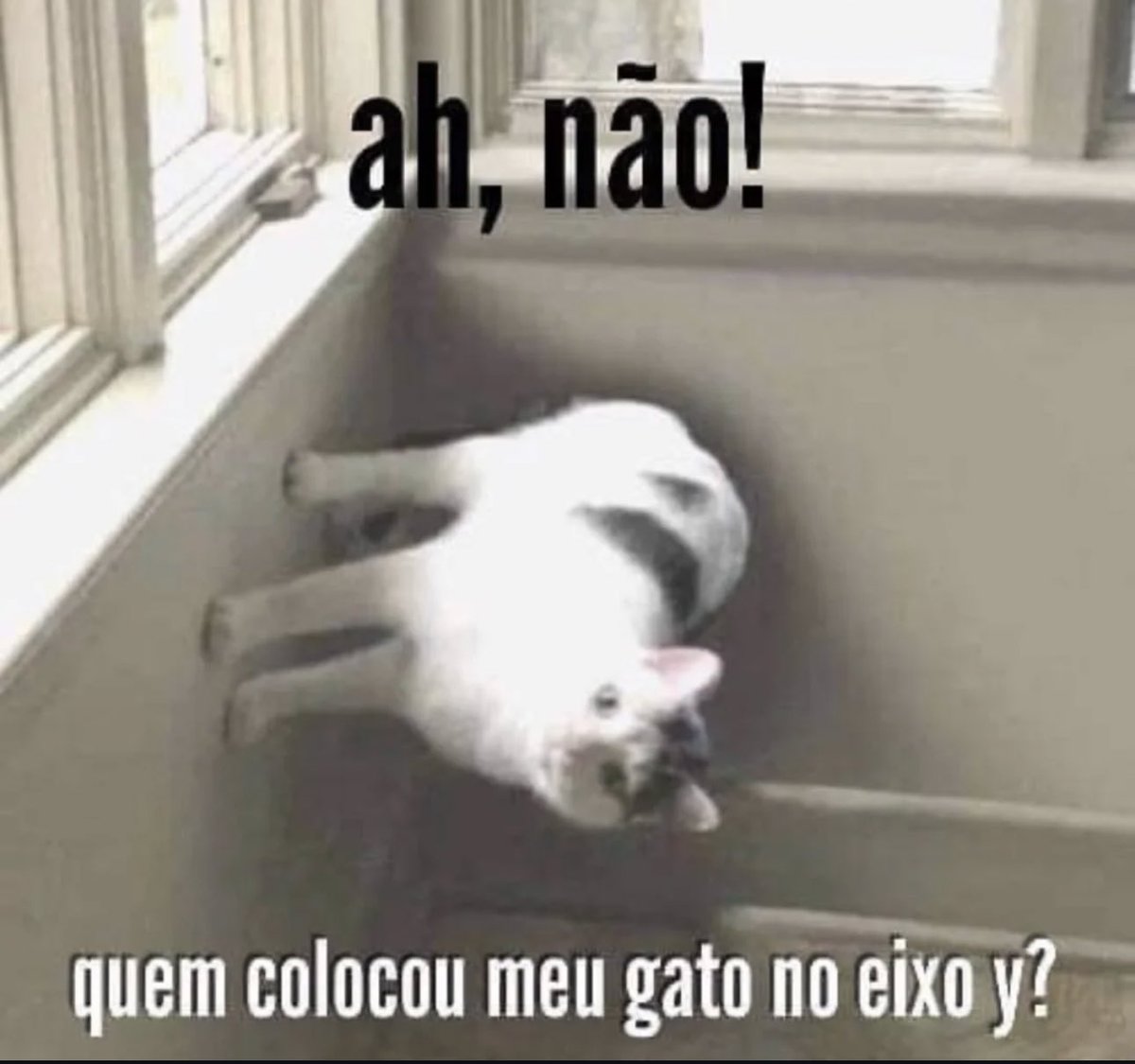 shitpostverdade's tweet image. 