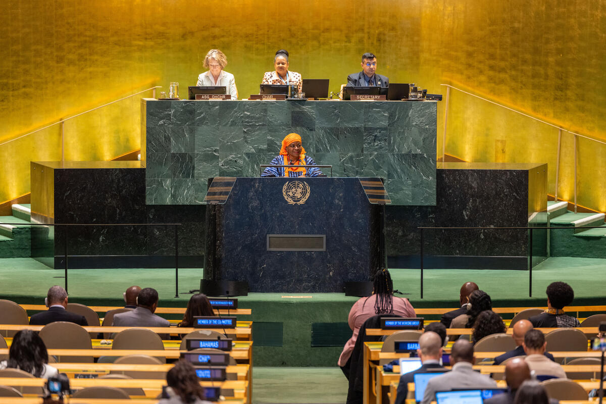 unfpachief's tweet image. Honoured to join the opening of the 4th #PFPAD session.

Now is the time to recommit to our quest for peace and equality. Now is the time for recognition. Now is the time to raise the demand for justice for all people of African descent.

#Standup4HumanRights