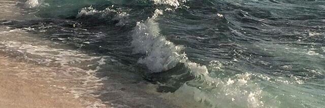 aesthetics (@aesthetics_40) on Twitter photo 