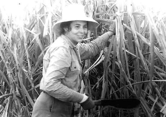Cuando se hable de las mujeres que han hecho la Revolución, se hablará de su fortaleza, de su ejemplo, de los méritos ganados en el combate, de que son parte del pueblo, y nunca han estado por encima de él. Ejemplos tenemos 👇