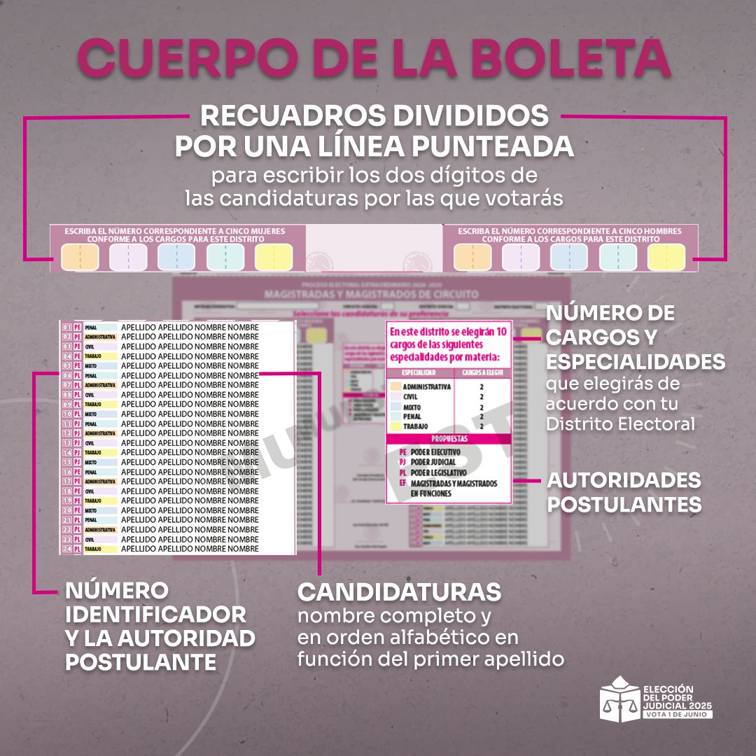 🗳️ ¿Cómo marcar tu voto en la elección de Magistraturas de Circuito?

1️⃣ Encuentra los nombres de las candidaturas en la boleta. 
🔢 Localiza los números correspondientes a cada candidatura. 
✍️ Marca con dos dígitos en los recuadros indicados.

💡 Decide con información, tu voto