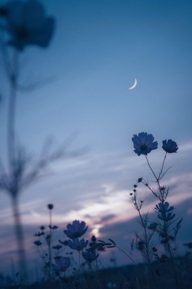 MOON (@moon4pics) on Twitter photo 