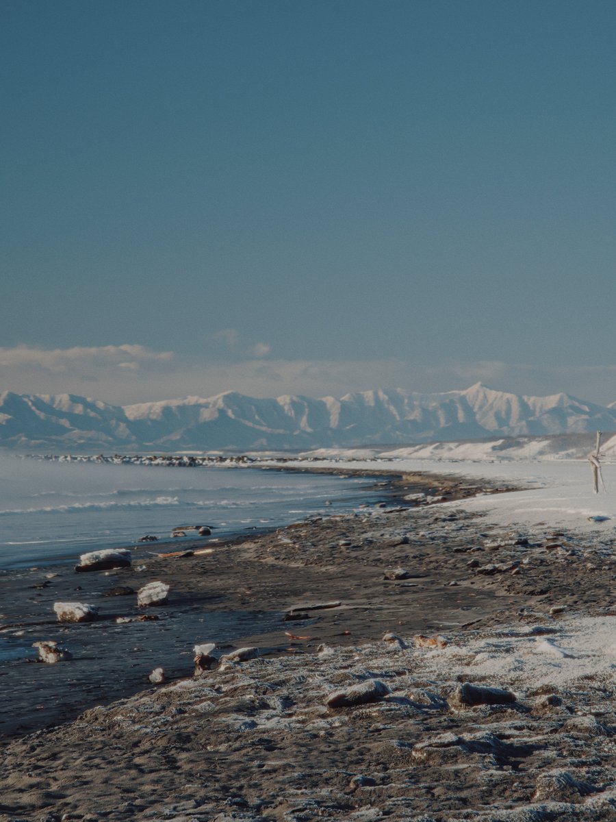 srd02man's tweet image. DaVinci Resolveでの写真現像が良すぎる。

①RAWをDNGに変換
②DNGをDaVinciで読み込み
③Blackmagic filmに色変換
④LUTでカラグレ

の4ステップで手軽に出来るのに色がとても良い。

生っぽさと空気感が絶妙で、
Lightroomとは違う良さがある気がする。