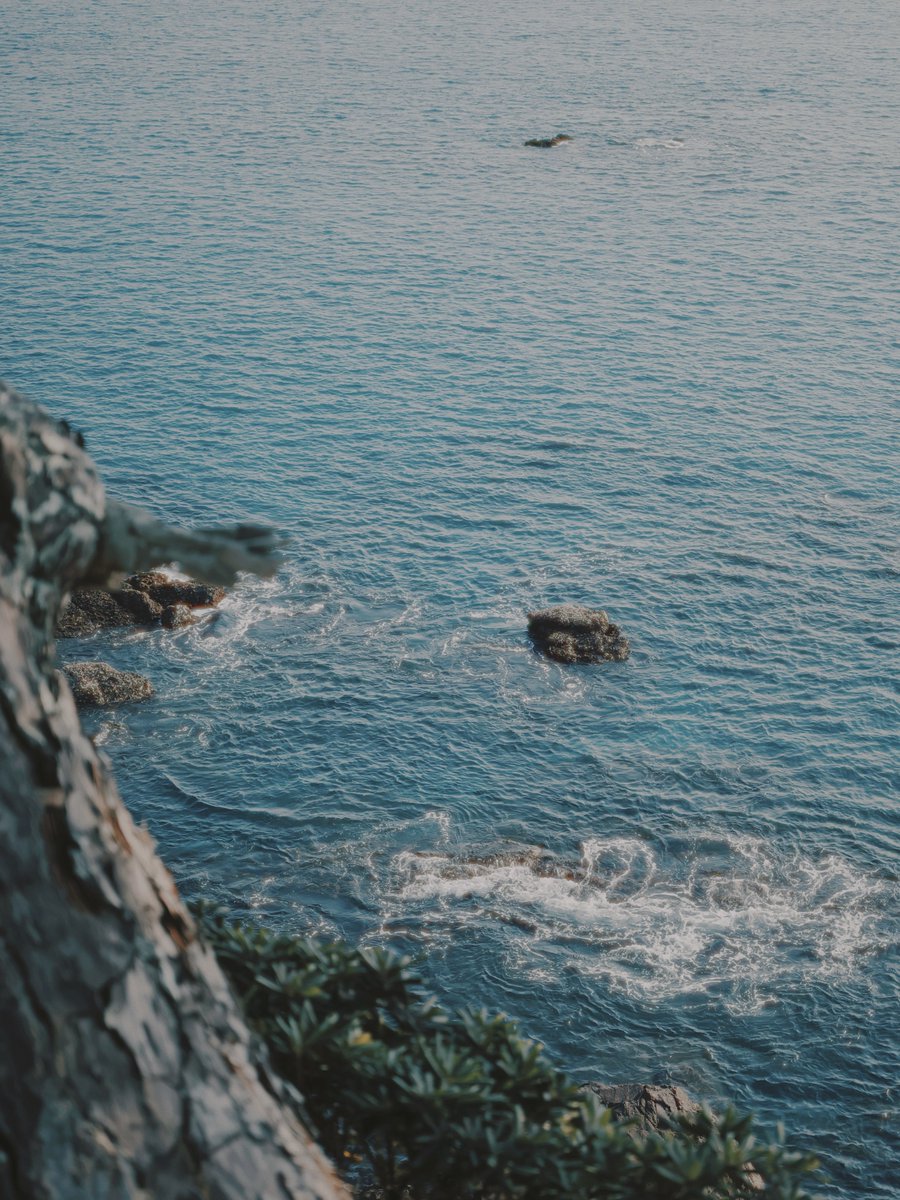 srd02man's tweet image. DaVinci Resolveでの写真現像が良すぎる。

①RAWをDNGに変換
②DNGをDaVinciで読み込み
③Blackmagic filmに色変換
④LUTでカラグレ

の4ステップで手軽に出来るのに色がとても良い。

生っぽさと空気感が絶妙で、
Lightroomとは違う良さがある気がする。