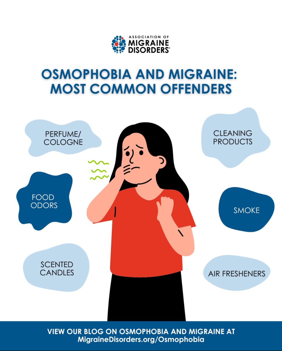 Abdulrazaq Albilali l عبدالرزاق البلالي tweet media