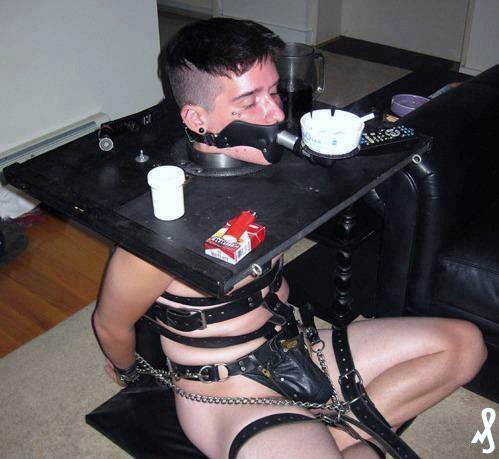 KidnapperBait 14k tweet media