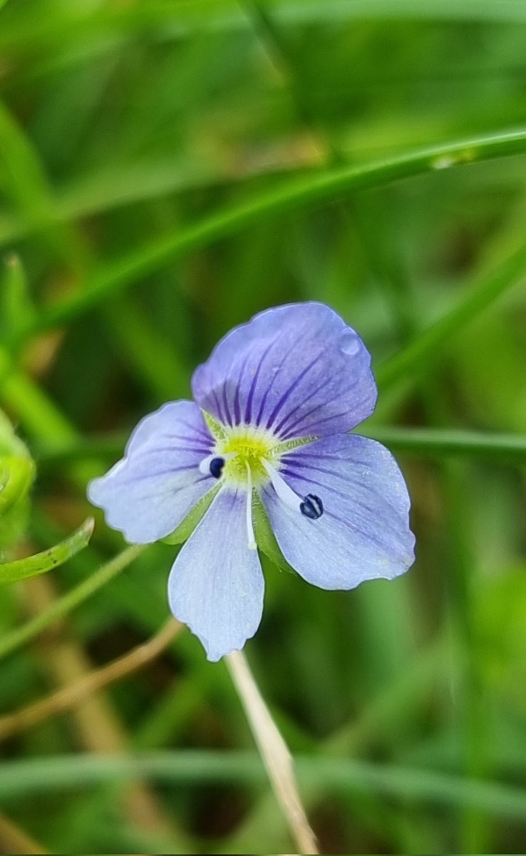 respecting nature tweet media