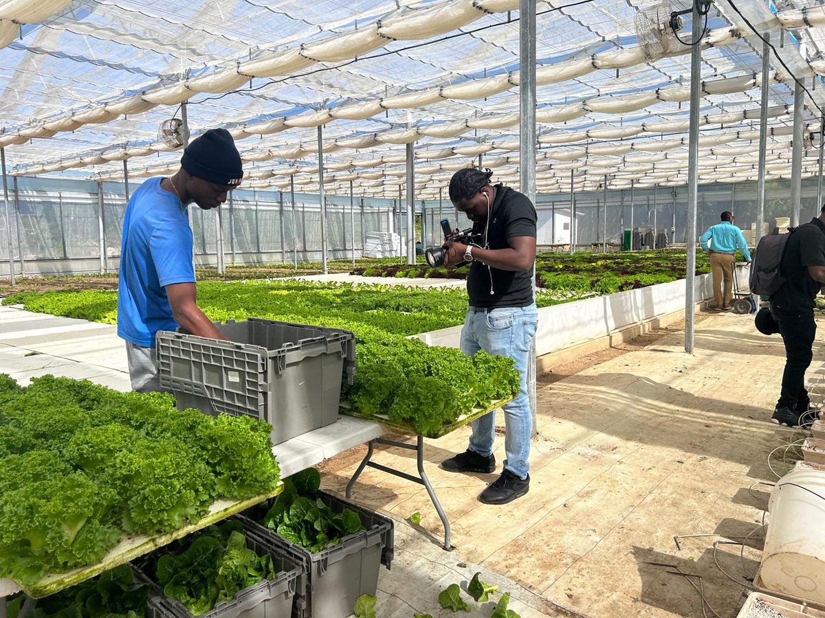 OneEleuthera's tweet photo. 🌿 Today, Eyewitness News and OUR News visited the CTI campus to film for an upcoming segment 🎥. They toured the “Oasis” Grow House — a model of sustainable agriculture and innovation that’s helping to reshape the future of farming on Eleuthera🌱.
Stay tuned! 📺 https://t.co/ybGbjMWAGR