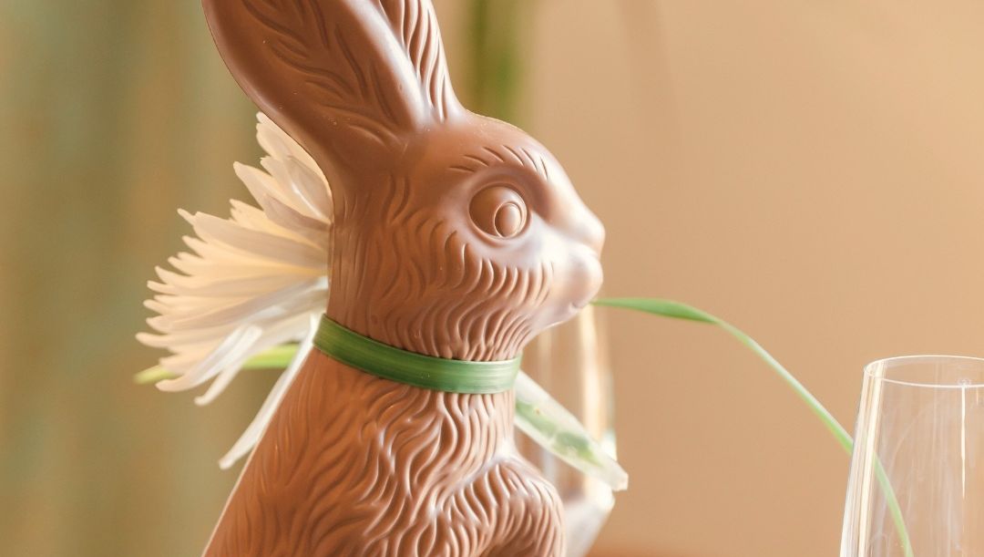 Coquillade Provence tweet media